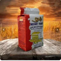 خمیر مایع خشک رضوی