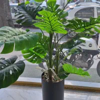 فروش گل تزئینی|گل مصنوعی|آستارا, |دیوار