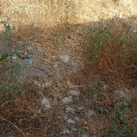 زمین-کندرود