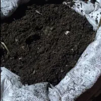 خاک