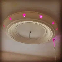 گچ کاری|خدمات پیشه و مهارت|خاش, |دیوار