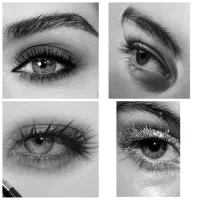 آموزش حرفه ایی نقاشی زیر نظر سازمان فنی و حرفه ایی