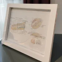 آموزش تخصصی کاشت ناخن با مدرک بین المللی