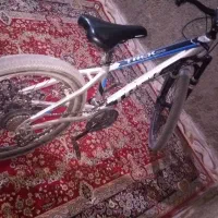 دوچرخه سایز 24|دوچرخه، اسکیت، اسکوتر|هیرمند, |دیوار