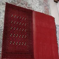 پشتی ترکمن بزرگ ریز بافت دست بافت پر نشده .|پشتی|کرج, کوی کارمندان جنوبی|دیوار
