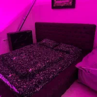 اجاره ساعتی /روزانه ویلا|اجارهٔ کوتاه‌مدت ویلا و باغ|تهران, تهرانپارس غربی|دیوار