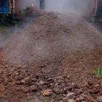 کود حیوانی|خدمات باغبانی و درختکاری|تنکابن, |دیوار