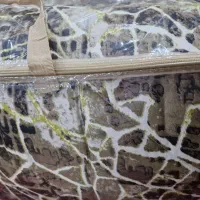 سرویس رو تختی دو نفره|سرویس روتختی|دوگنبدان, |دیوار