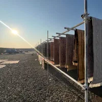 قالیشویی شعبه غرب و جنوب غرب  تهران|خدمات نظافت|تهران, فلاح|دیوار