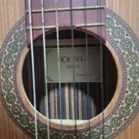 گیتار نورانیا مدل Norania C2 همراه کیف|گیتار، بیس، امپلیفایر|ری, حمزه‌آباد|دیوار