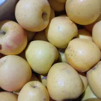 فروش سیب|خوردنی و آشامیدنی|باغ حلی, |دیوار