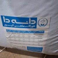 غذای کپور رو ابی