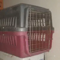 باکس حیوانات