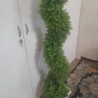 درختچه تمیز درحدنو|گل مصنوعی|قم, زند آباد|دیوار