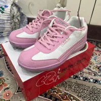 کفش|کیف، کفش، کمربند|تهران, نیروی هوایی (پیروزی)|دیوار