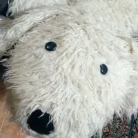 عروسک یک متری|اسباب‌‌بازی|بجنورد, |دیوار