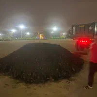 پخش کود حیوانی گاوی گوسفندی درکل تهران خاک باغچه|خدمات باغبانی و درختکاری|پاکدشت, پاکدشت (مامازند)|دیوار