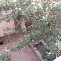 245-متر-کلنگی-دوکله