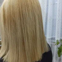 با نصف قیمت شلاقی شوو