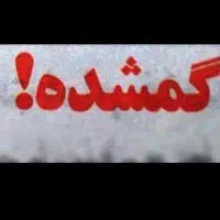 کارت ملی به نام هاشم غریب زاده سلطان آبادی گم شده