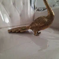 طاووس برنز