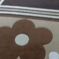 گلیم فرش تمیز ۱۲ متری|گلیم، جاجیم، گبه|یاسوج, |دیوار