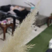 دعوت به همکاری