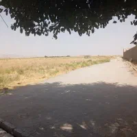 زمین نقد و اقساط با موقعیت مکانی عالی|فروش زمین و ملک کلنگی|مشهد, تبادکان|دیوار