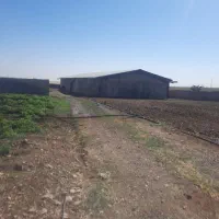 اجاره سوله 360 متری