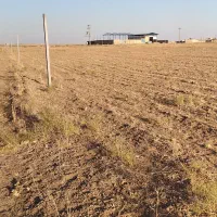 زمین فروشی|فروش زمین و ملک کلنگی|ساروق, |دیوار