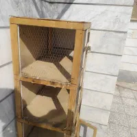 جفت کنی کفتر|لوازم جانبی حیوانات|اسلام‌شهر, مظفریه|دیوار