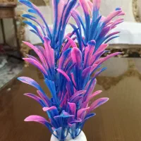 گیاه آکواریومی|ماهی|مشکیندشت, |دیوار