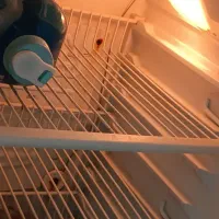 یخچال|یخچال و فریزر|جهرم, |دیوار