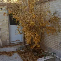 فروش خانه ۶۵متری