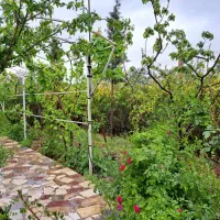 اجاره ویلا پلاک دوم 170متری باغ بهادران|اجارهٔ خانه و ویلا|باغ بهادران, |دیوار