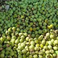 انبار خشکبار گردو بادام انجیر تخمه پسته کشمش و|خوردنی و آشامیدنی|اصفهان, رهنان|دیوار