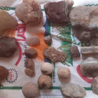 سنگ عقیق یاقوت شجر