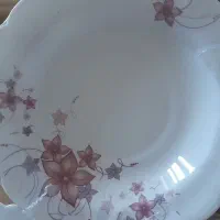 اکروپال|ظروف سرو و پذیرایی|کرمانشاه, |دیوار