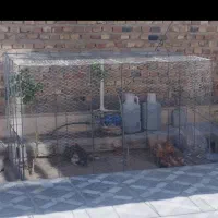 طور و قفس مرغ....|لوازم جانبی حیوانات|خاش, |دیوار