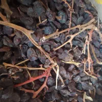 کشمش بیدانه آفتابی تاکستان تمیز(فقط آبگیری دارم )|خوردنی و آشامیدنی|تهران, شهرک ولیعصر شمالی|دیوار
