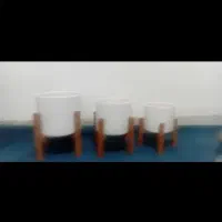 سه عددگلدان