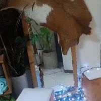 آیینه قدی پوست بز