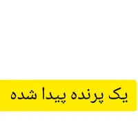 یک پرنده پیدا شده