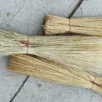 جارو کوهی