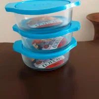 ظروف نگه دارنده غذا