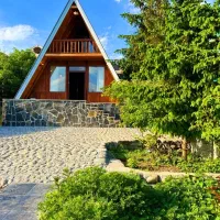 اینم-اجرای-کلبه-سوئیسی-در-منطقه-کاملا-جنگلی