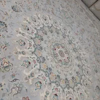 فرش|فرش|گلبهار, شهر جدید گلبهار|دیوار