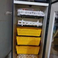 دستگاه جوجه کشی نوه