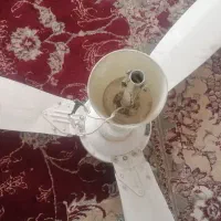 پنک سخفی|پنکه و تصفیه‌کنندهٔ هوا|تربت‌حیدریه, بالا ولایت|دیوار