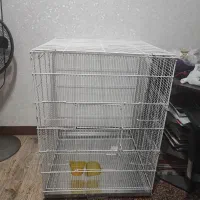 قفس طوطی ( ریز بافت)